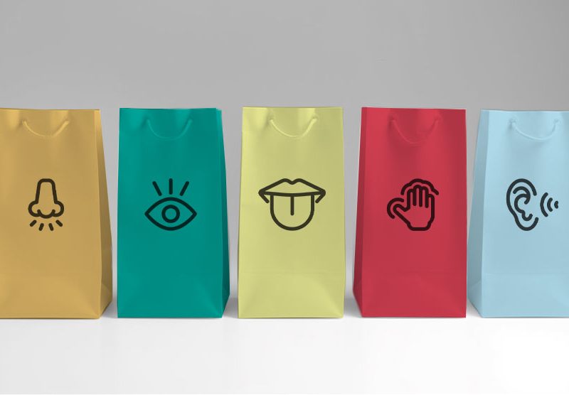 El Marketing Sensorial en 360º